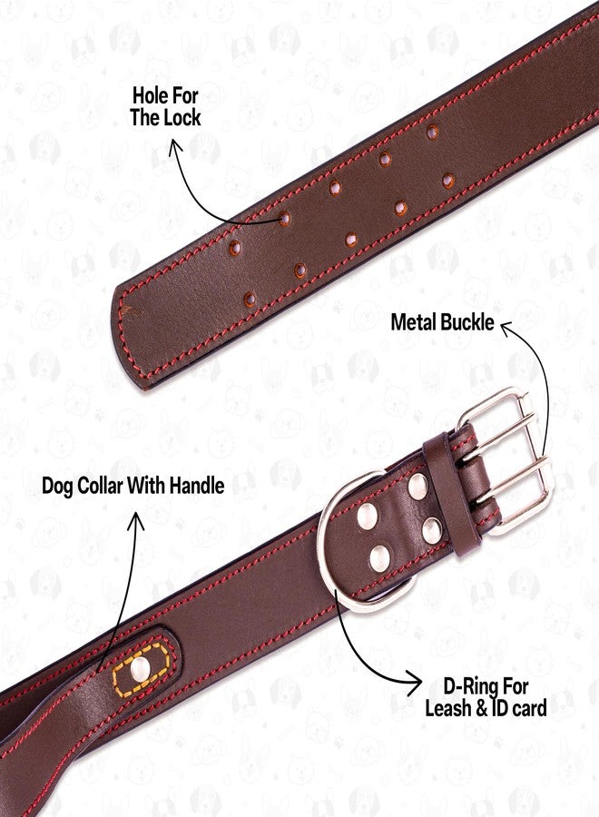 ADIL'S Adil’S Dog Genuine Leather Dog Collar with Strap Handle for Medium Large Dogs, Adjustable Heavy Duty Handle Dog Collar with Double pin Buckle, Neck Size (12 to 26) inches, Brown - Image 3